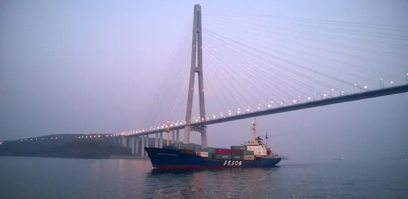 KAPITAN GNEZDILOV Container Ship IMO 7941667