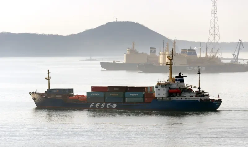 KAPITAN GNEZDILOV Container Ship IMO 7941667 photo 2