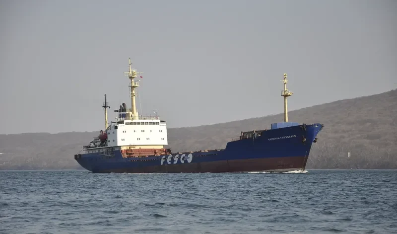 KAPITAN GNEZDILOV Container Ship IMO 7941667 photo 4
