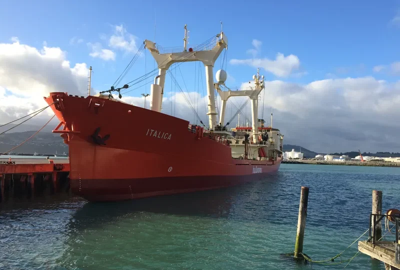 ITALICA General Cargo IMO 7942075