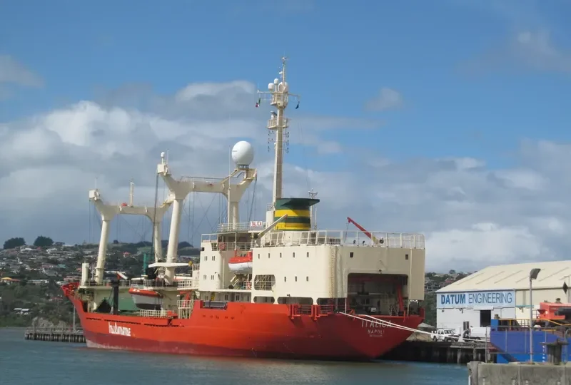 ITALICA General Cargo IMO 7942075 photo 9