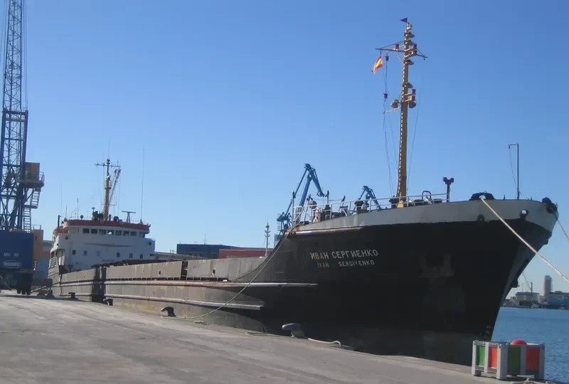 STEEL COUGAR General Cargo IMO 7942128 photo 10