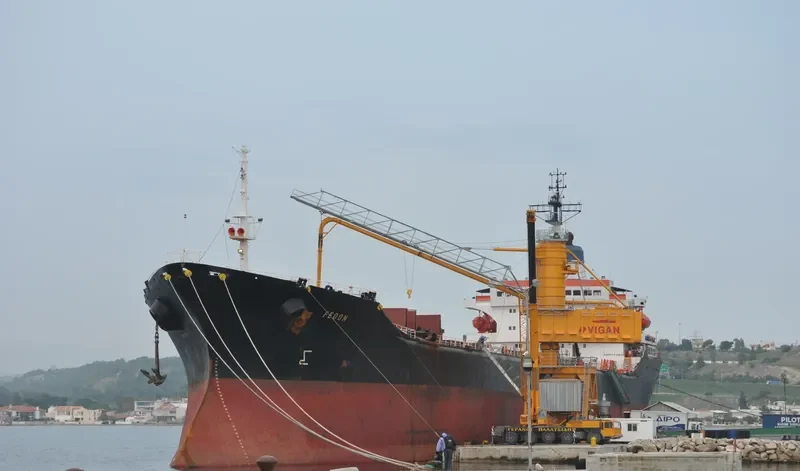 FEDON Bulk Carrier IMO 7942336