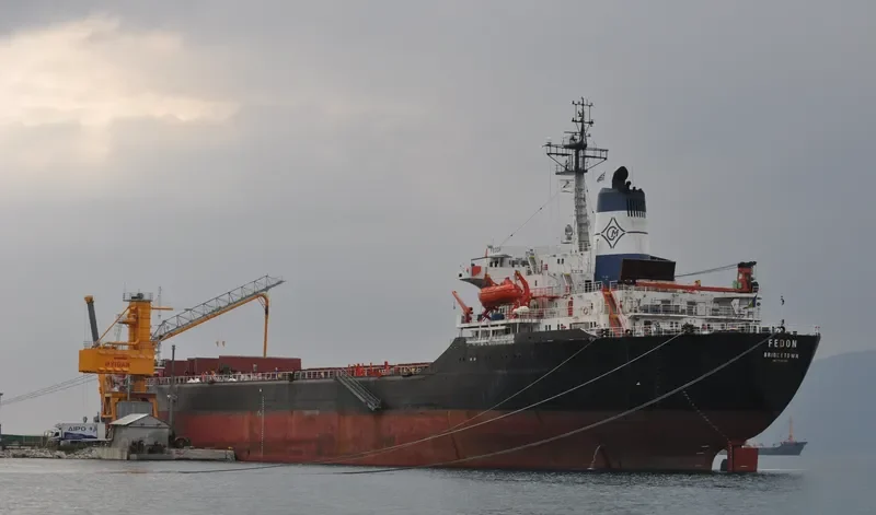 FEDON Bulk Carrier IMO 7942336 photo 2