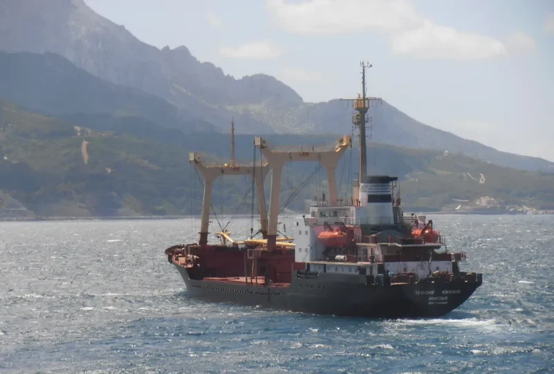 TEKHNOLOG KONYUKHOV General Cargo IMO 7942350 photo 9