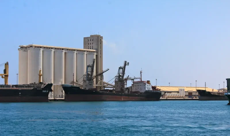 VENUS General Cargo IMO 7942441