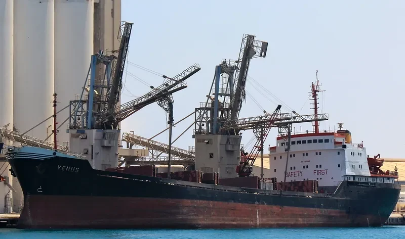 VENUS General Cargo IMO 7942441 photo 2