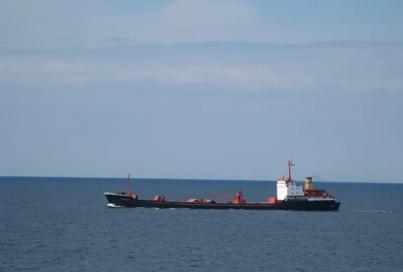 VENUS General Cargo IMO 7942441 photo 7