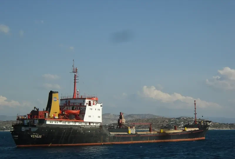 VENUS General Cargo IMO 7942441 photo 8