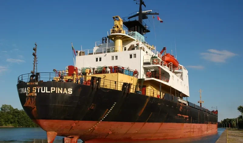MINA Bulk Carrier IMO 7942829 photo 4
