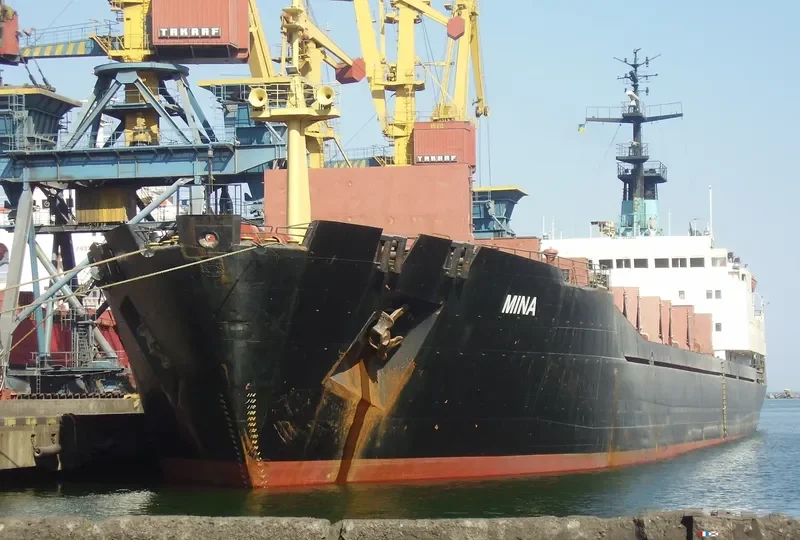 MINA Bulk Carrier IMO 7942829 photo 7