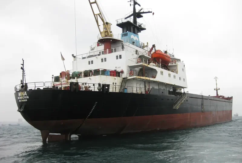 MINA Bulk Carrier IMO 7942829 photo 8