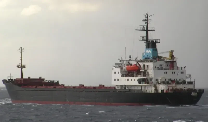 MINA Bulk Carrier IMO 7942829 photo 9
