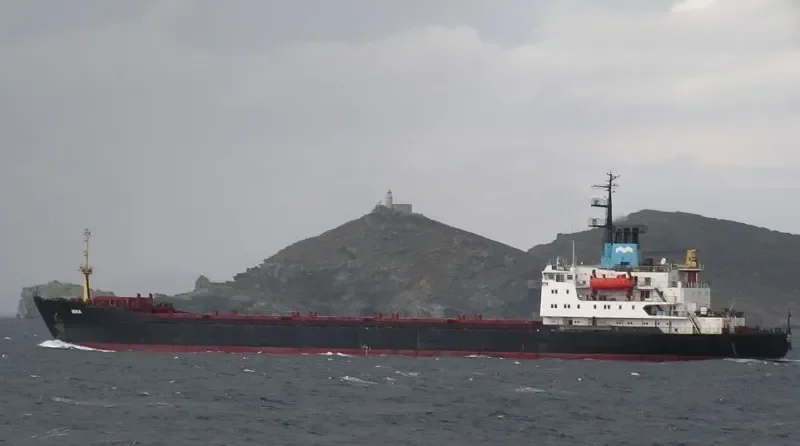 MINA Bulk Carrier IMO 7942829 photo 10