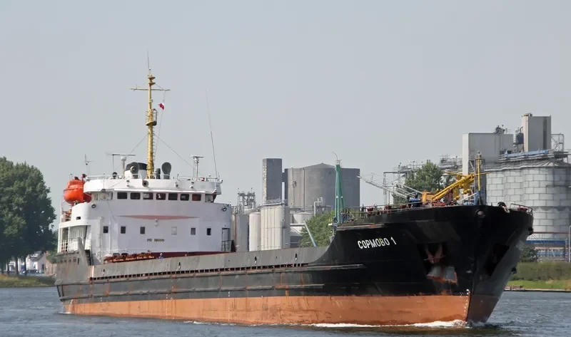 SORMOVO 1 General Cargo IMO 7942946 photo 5