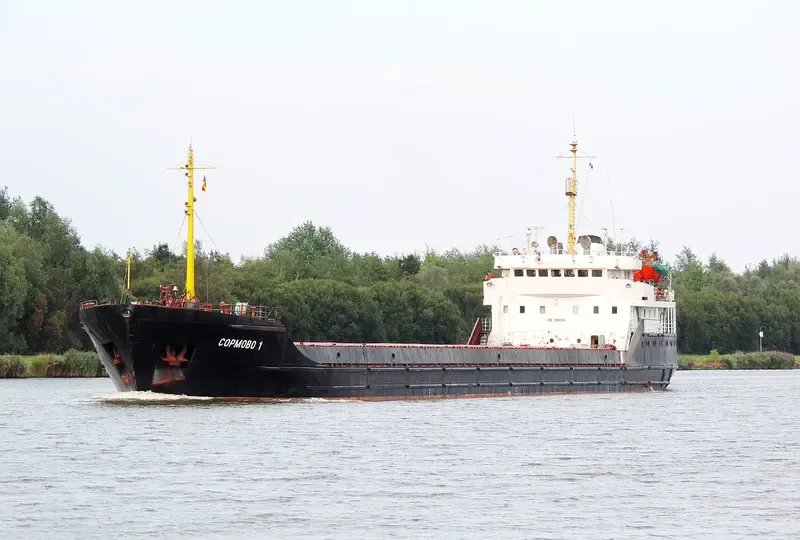 SORMOVO 1 General Cargo IMO 7942946 photo 8