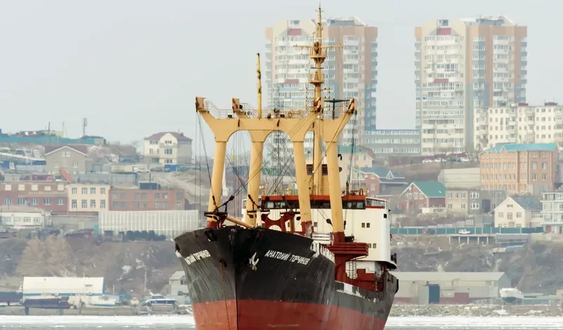 ANATOLIY TORCHINOV General Cargo IMO 7943201