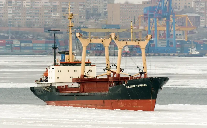 ANATOLIY TORCHINOV General Cargo IMO 7943201 photo 2