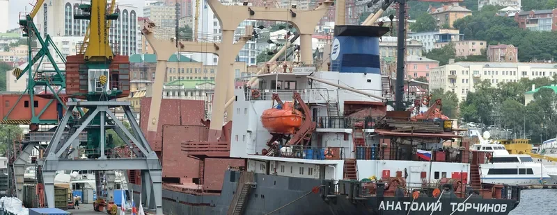 ANATOLIY TORCHINOV General Cargo IMO 7943201 photo 10