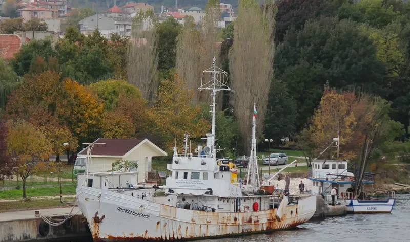 PROFESSOR ALEXANDER VALKANOV General Cargo IMO 7944243