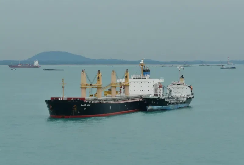 DAI HONG DAN General Cargo IMO 7944695 photo 2
