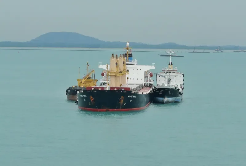 DAI HONG DAN General Cargo IMO 7944695 photo 3