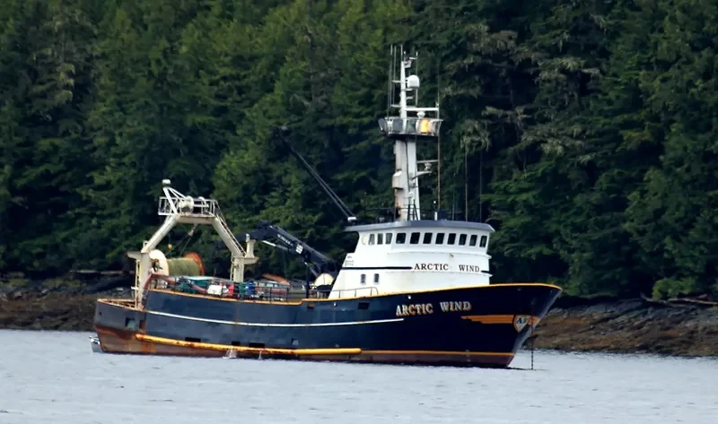ARCTIC WIND General Cargo IMO 7944815 photo 2