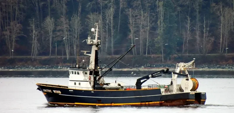 ARCTIC WIND General Cargo IMO 7944815 photo 3