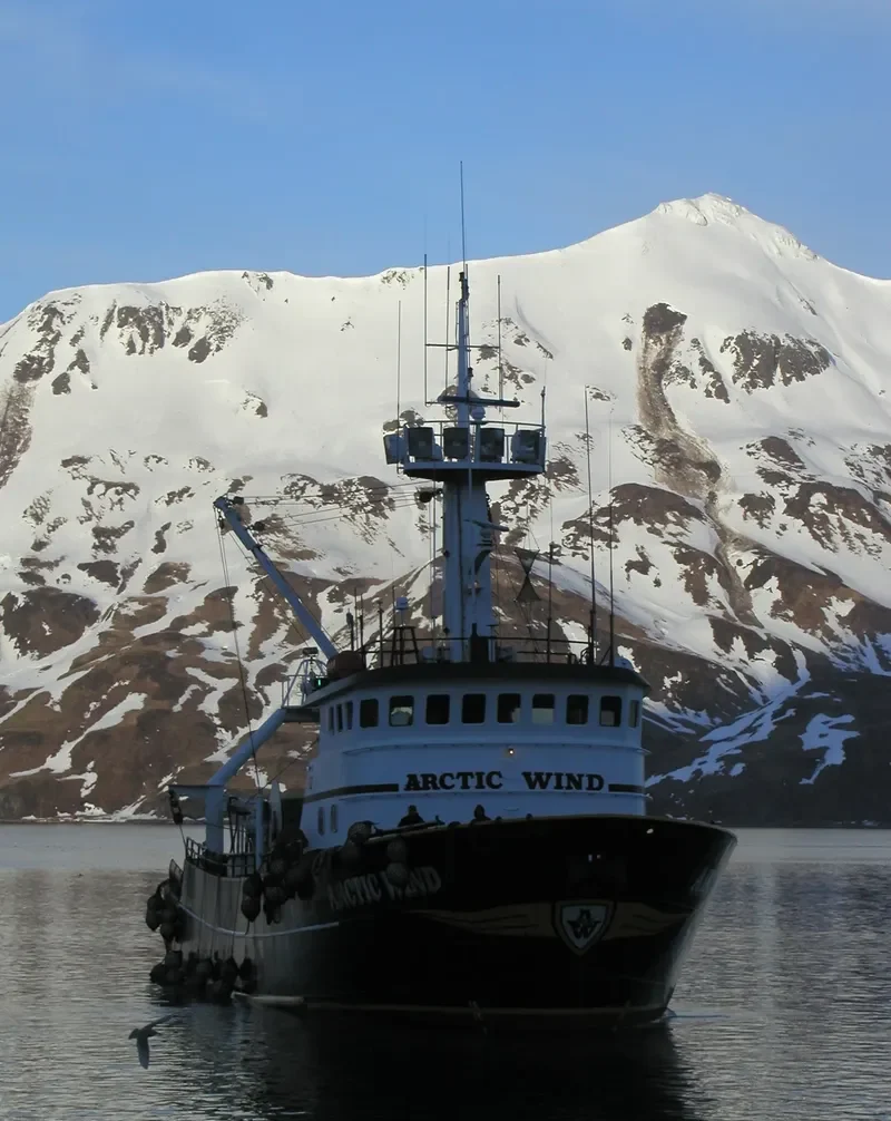 ARCTIC WIND General Cargo IMO 7944815 photo 5