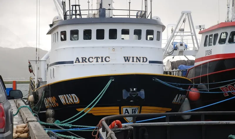 ARCTIC WIND General Cargo IMO 7944815 photo 6
