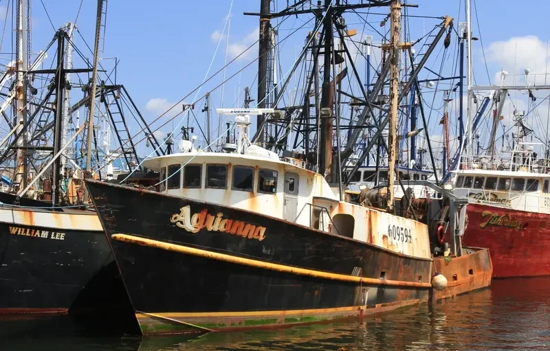 ADRIANNA General Cargo IMO 7944932 photo 2
