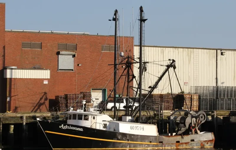 ADRIANNA General Cargo IMO 7944932 photo 3