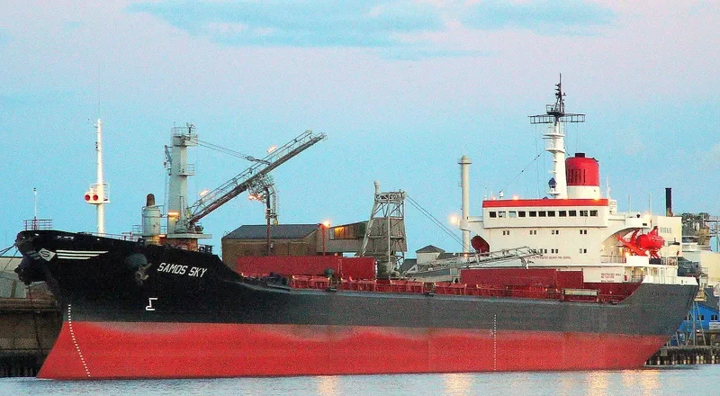 SAMOS SKY Bulk Carrier IMO 7945417 photo 2