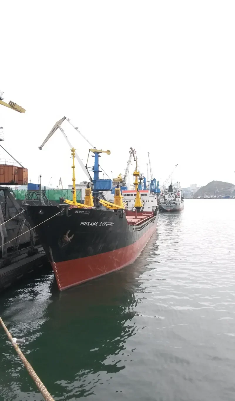 MIKHAIL LUKONIN General Cargo IMO 7945534 photo 3