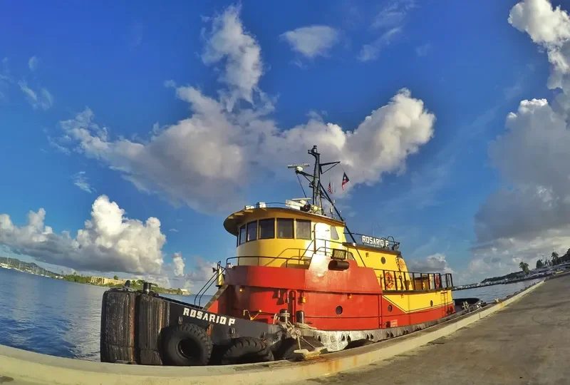 ROSARIO P. Tug Boat IMO 7945613 photo 3