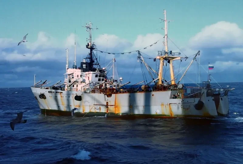 SALMA General Cargo IMO 7945728