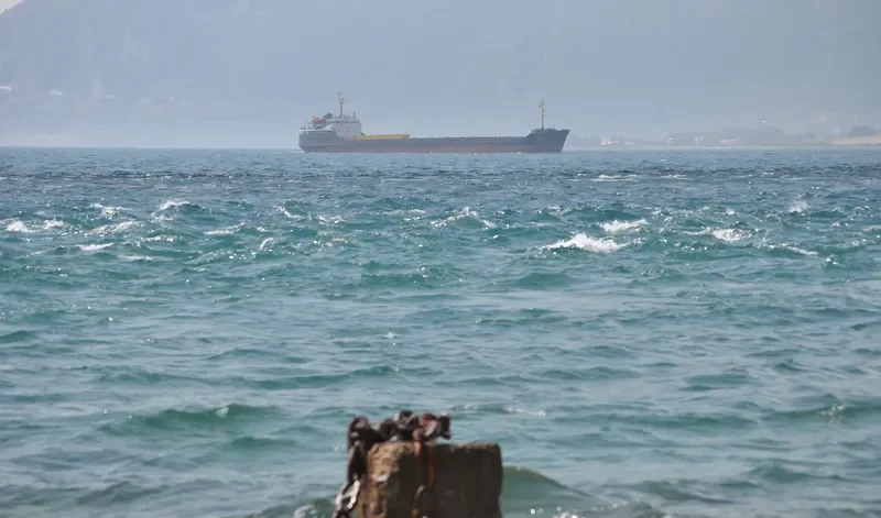 VOLODYMYR VOROBYOV General Cargo IMO 7945857 photo 8