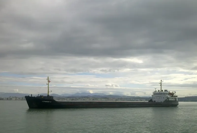 SORMOVO 2 General Cargo IMO 7945869 photo 4