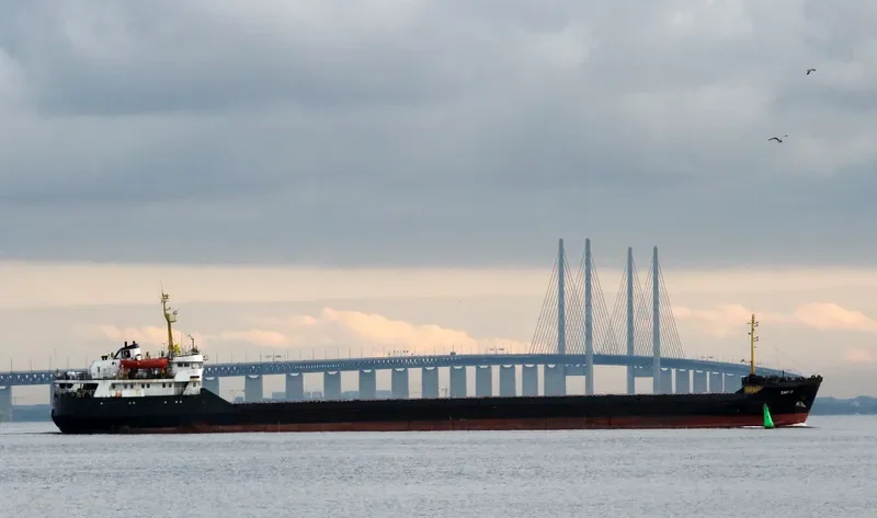 SORMOVO 2 General Cargo IMO 7945869 photo 5