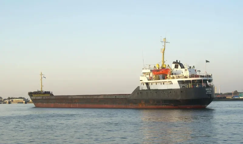 SORMOVO 2 General Cargo IMO 7945869 photo 7