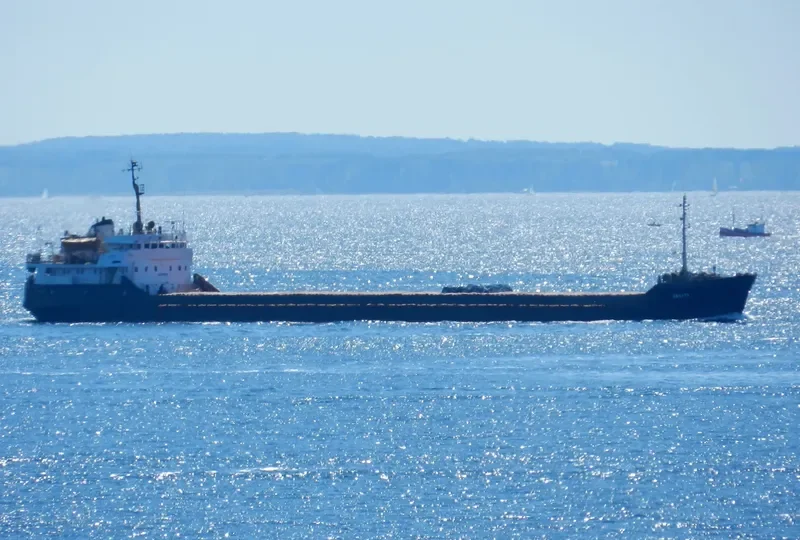 SORMOVO 2 General Cargo IMO 7945869 photo 8