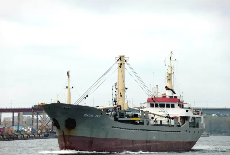 ASSO 6 General Cargo IMO 7946875 photo 8