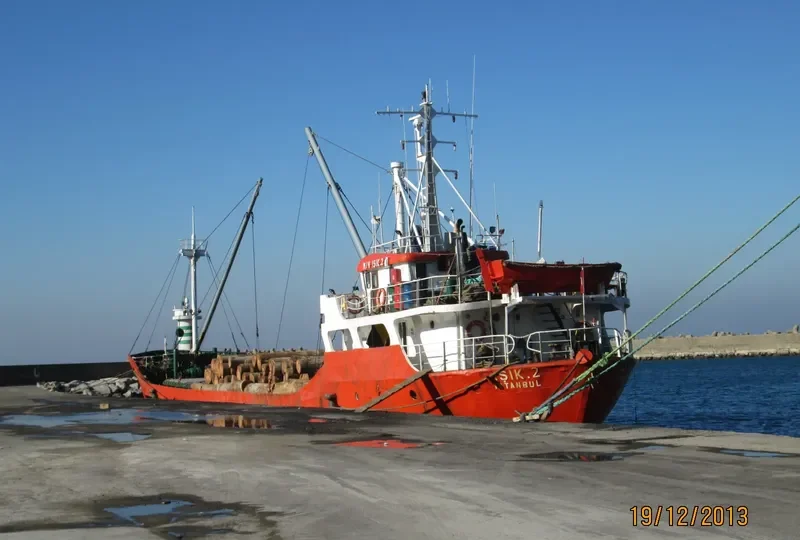 AMARANTHUS General Cargo IMO 7947037 photo 3