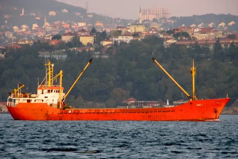 AMARANTHUS General Cargo IMO 7947037 photo 5