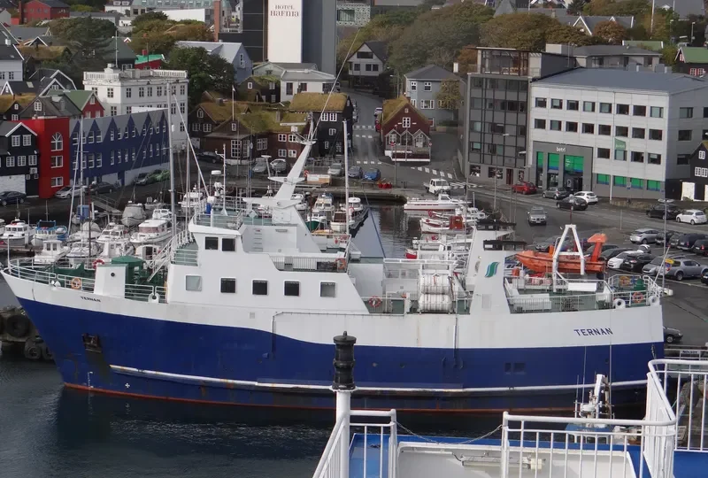 TERNAN Ro-Ro IMO 7947154