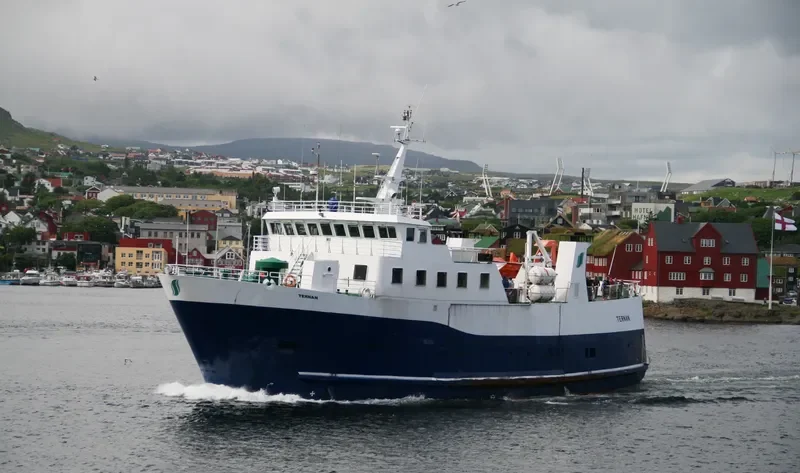 TERNAN Ro-Ro IMO 7947154 photo 4