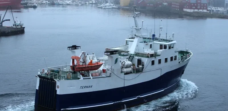TERNAN Ro-Ro IMO 7947154 photo 5