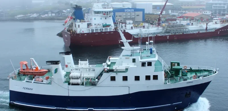 TERNAN Ro-Ro IMO 7947154 photo 6