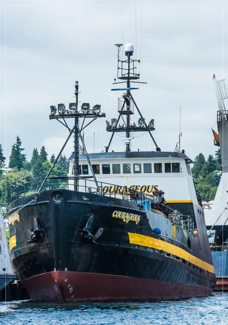 COURAGEOUS General Cargo IMO 7947398