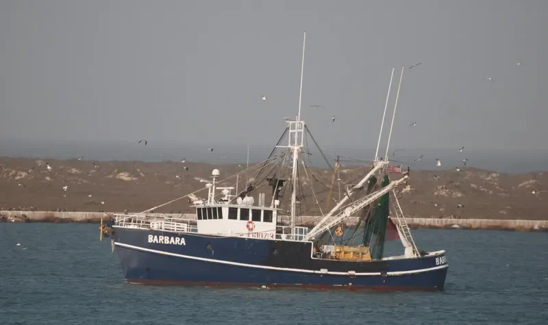BARBARA General Cargo IMO 7947415